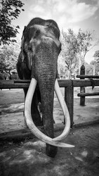 Similar image 22558863