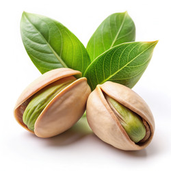 Similar image 22555318