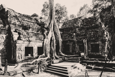 Similar image 22560927