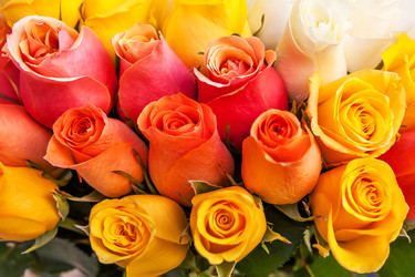 Similar image 22561077