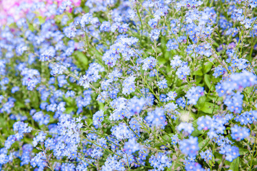 Similar image 22561140