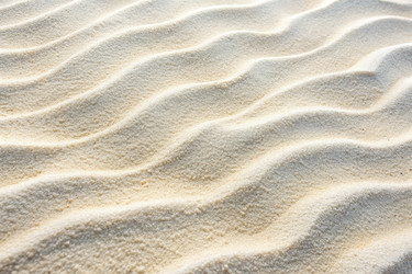 Similar image 22556818