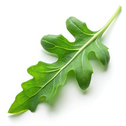 Similar image 22556927