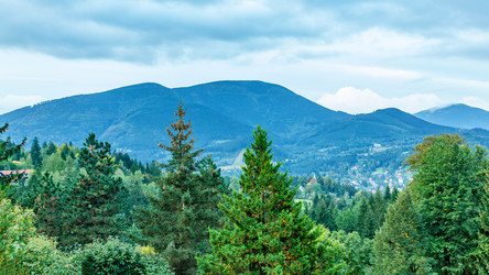 Similar image 22558816