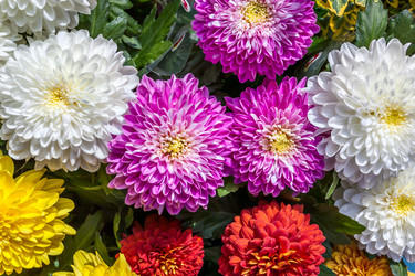 Similar image 22558866