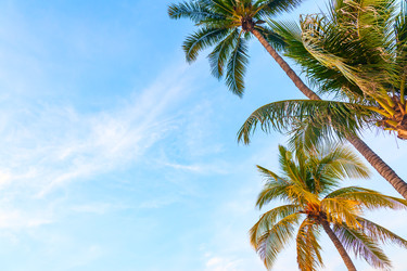 Similar image 22560657