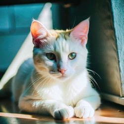 Similar image 22556563