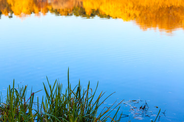 Similar image 22560959