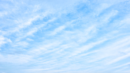 Similar image 22561166