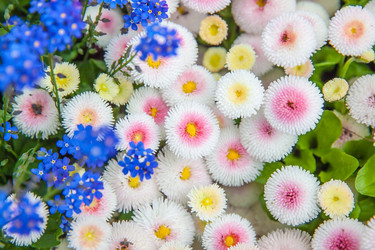 Similar image 22561238