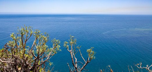 Similar image 22561241