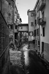 Similar image 22561254