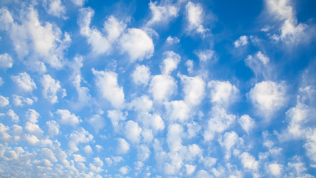 Similar image 22561268