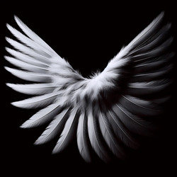 Similar image 22553718