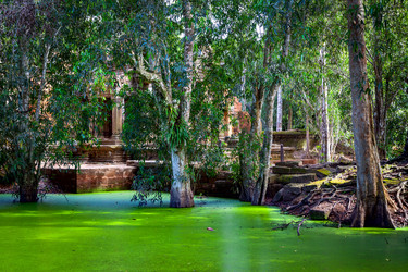 Similar image 22558634