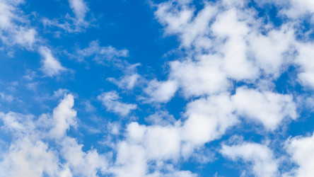 Similar image 22558652