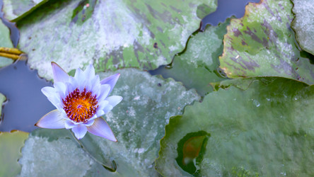 Similar image 22558819