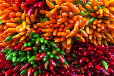 Similar image 22560851