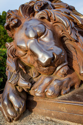 Similar image 22560883