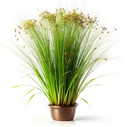 Similar image 22556580