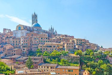 Similar image 22560943