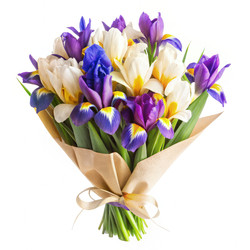 Similar image 22556593