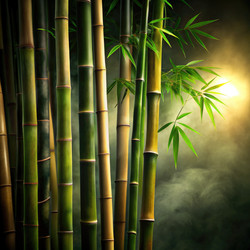 Similar image 22556822