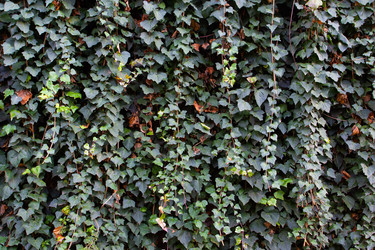 Similar image 22561242