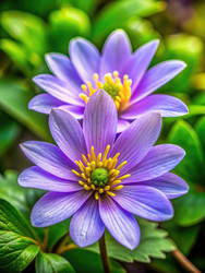 Similar image 22556944