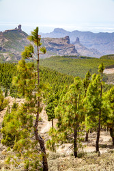 Similar image 22561362