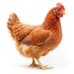 Similar image 22556959