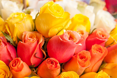 Similar image 22558635