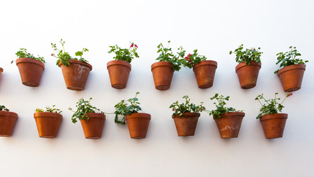 Similar image 22558666