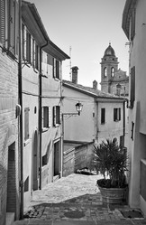 Similar image 22558668