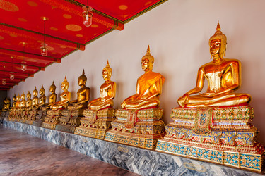 Similar image 22558867