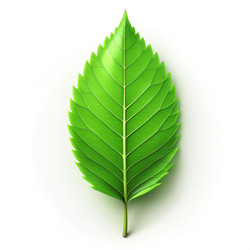 Similar image 22556615