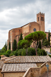 Similar image 22561081