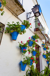 Similar image 22561092