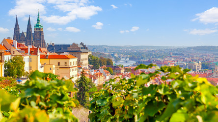 Similar image 22561093