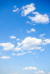 Similar image 22558779