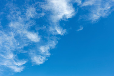 Similar image 22558834