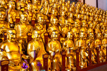 Similar image 22558852