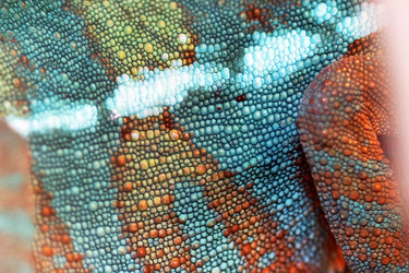 Similar image 22554408