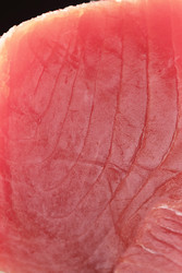 Similar image 22554409