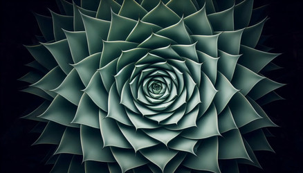 Similar image 22548692