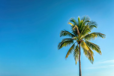 Similar image 22556435