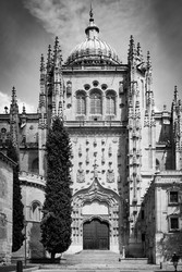 Similar image 22560768