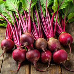 Similar image 22556461