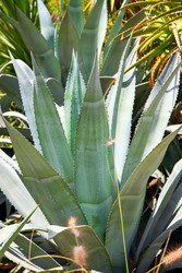 Similar image 22560809