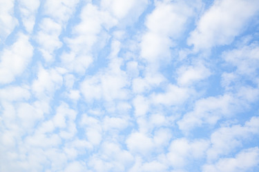 Similar image 22561261